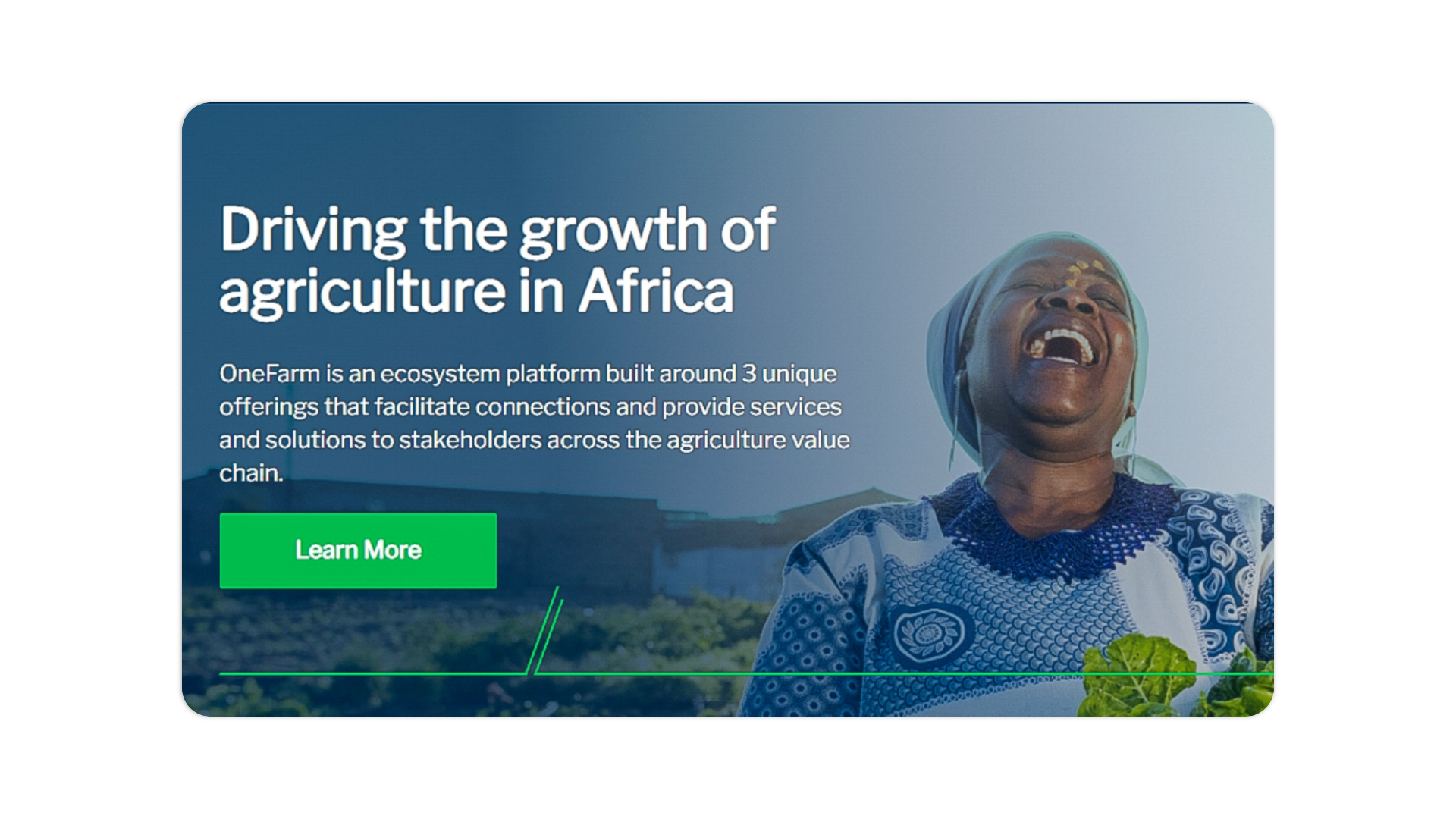 OneFarm Africa